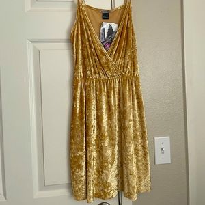 Gold velvet mini dress